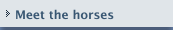 Meet the horses 