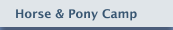 Horse & Pony Camp