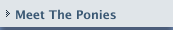 Meet The Ponies
